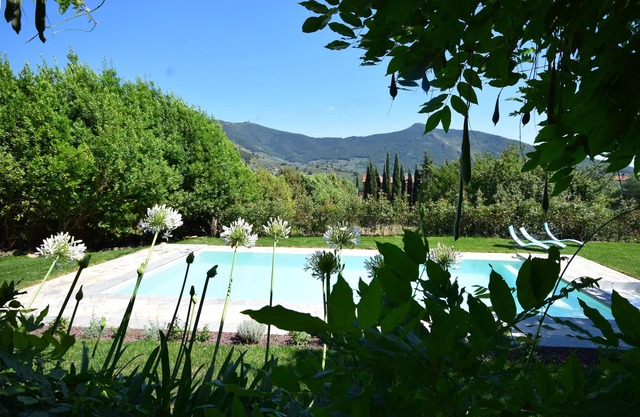 Between olive grove and wide lawn, 1700's farmhouse