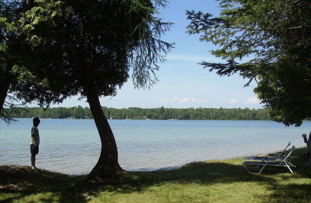 Birch Lake Cottage, Elk Rapids, Waterfront Property near Traverse City