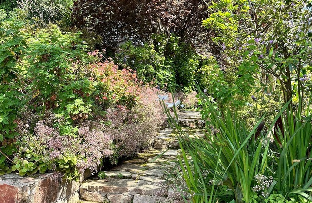 Blossom Cottage, Elgin Grabouw