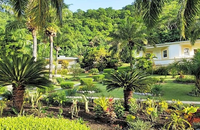 Blue Horizons Garden Resort