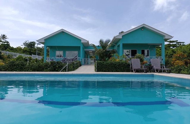 Blue Lizard House