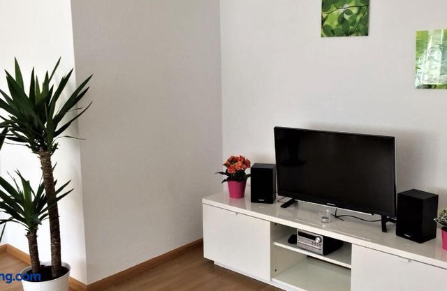 Bodensee Apartment Allensbach Fewo 2