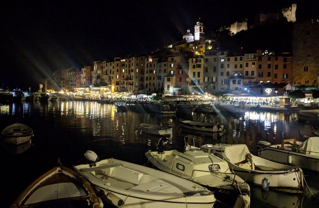 Bouganville Portovenere – Beachfront – Invaluable Landing stage on the sea