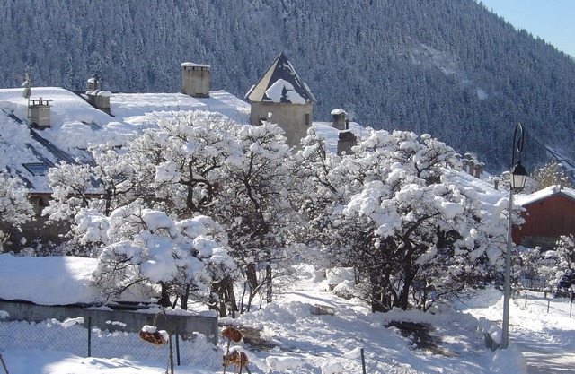 Bourg St Maurice: charming apartment for 4/5 people. Alt 900 m to Seez