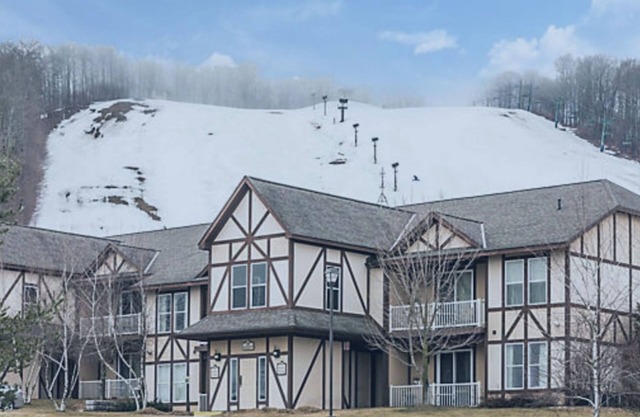 Boyne Mountain Ski In/Ski Out 2BR/2BA Full Kitchen, Fireplace, In-unit W/D