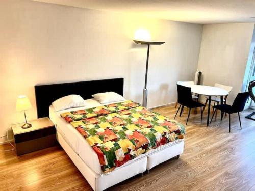 Brand New City Center downtown apartment Zurich Brauer