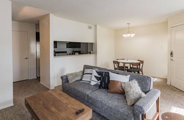 Brand New Midland Suite