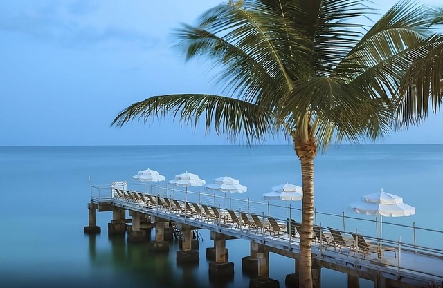 Breathtaking Ocean Views! 3 Trendy Units, On-Site Dining, Near Jackson Square!