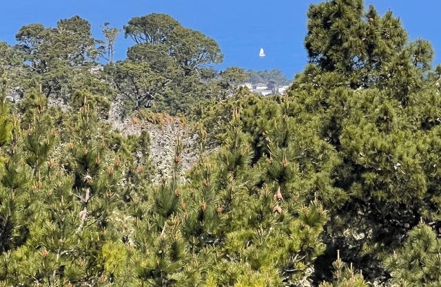 Bright Ocean Views in Pebble Beach!