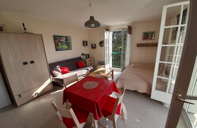 Bright studio in La Roche-Posay center with WIFI, washer, dishwasher, pets allowed