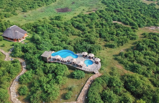 Buffalo Safari Lodge