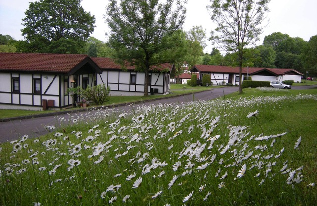 Bungalow 23 for 4 to 6 persons in the vacation resort RHÖN RESIDENCE.