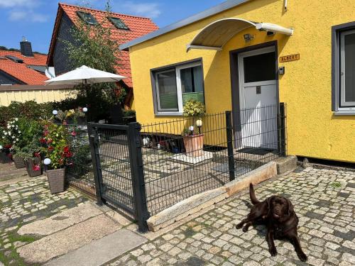Bungalow in Wernigerode