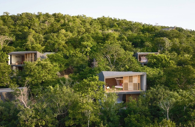 Bungalow Premium Nature View. Connect with your essence through nature.