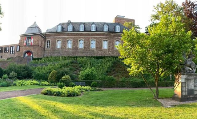 Burg Wassenberg by Savio