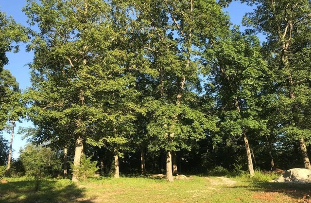 By Everything, Away from it all! Wi-Fi camping in Iron County