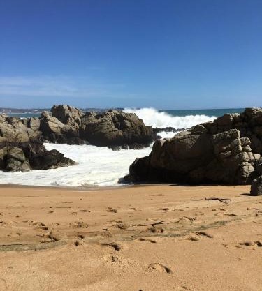 Cabañas en Algarrobo Norte