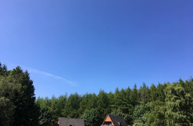 Cabin ∙ 2 bedrooms ∙ 4 guests
