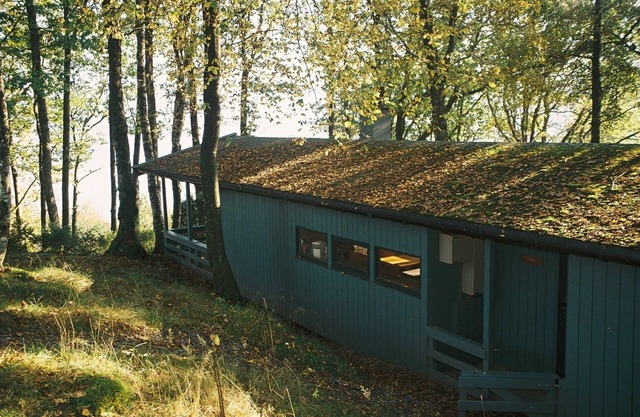 Cabin in meditative oakwood Unit 4 (Neshagen)
