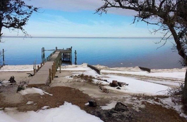 Cabin in the woods on the water hidden away at the beach