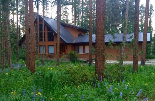 Cabin Nestled in the Woods, close to town!