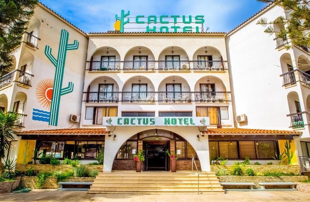 Cactus