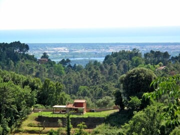 Caldereccia in Camaiore