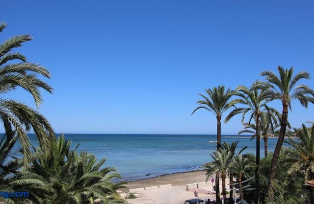 Calma Blanca