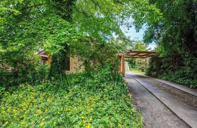 Camelia Place, Bright