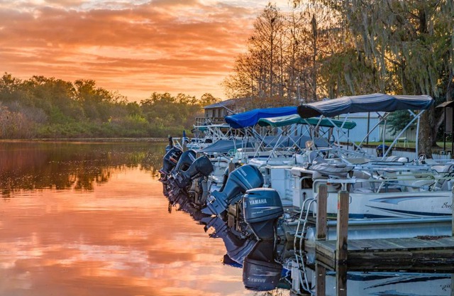Camp Mack Guy Harvey Lodge Marina Rv Resort 