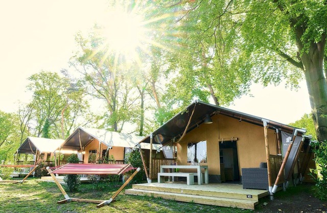 Camping but with the luxury of home? Optimal enjoyment in this Safari tent in Wilsum!