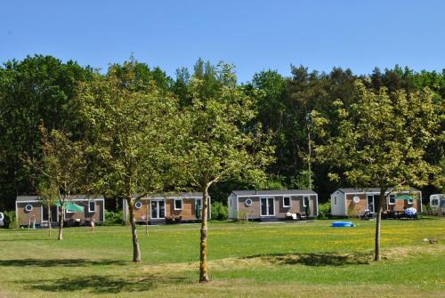 Camping de Reeënwissel