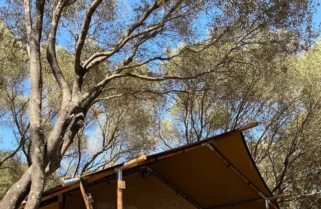 Camping Vigna Maggiore * - LODGE TENT without bathroom! 5 people