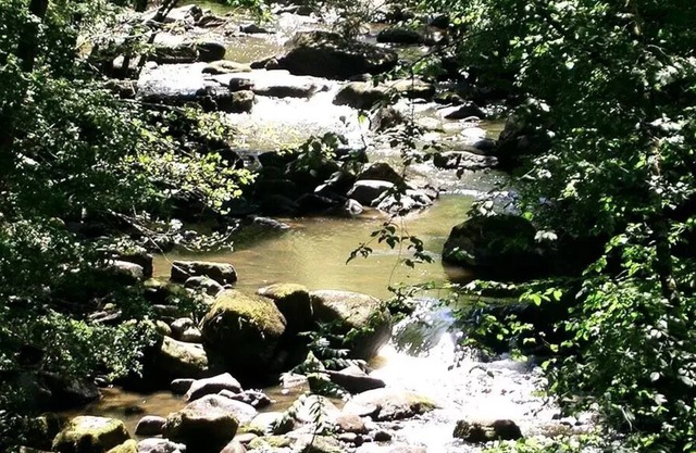 Campsite Le Rochat-Belle-Isle * - Chalet wood nature (2 adults + 1 child) 3 persons