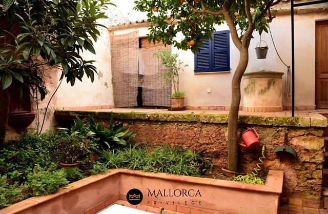 Can Marinero. Portocristo house-family-beach