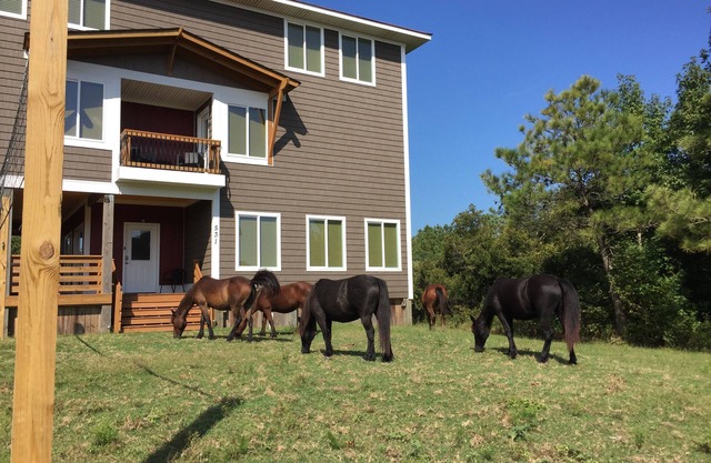 Canal front. 4WD area. Hot tub. Screened-in porch. Large deck. Game room.
