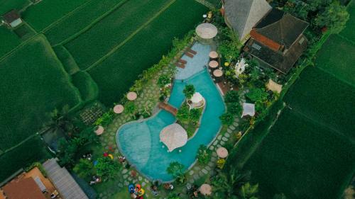 Candy Villa 