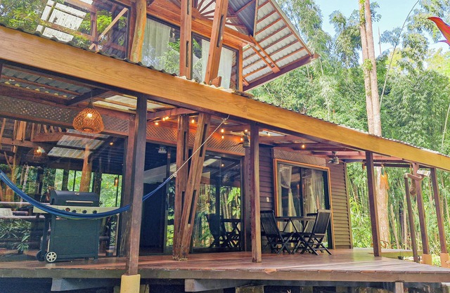 Casa Auratus Jungle Experience