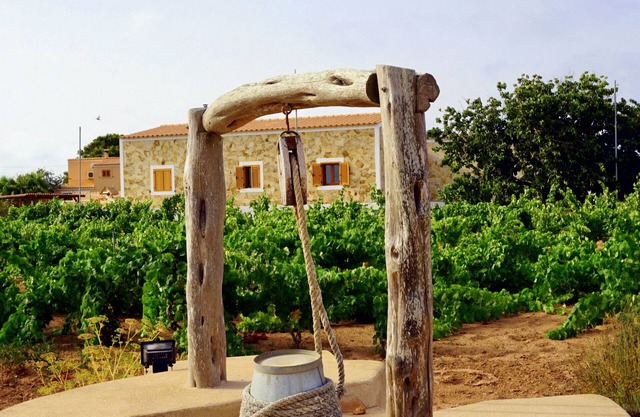 Casa Can Pep, Formentera - 1 bedroom Bungalow