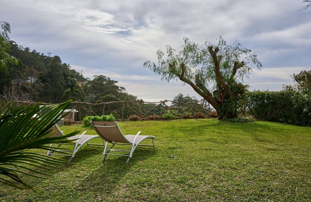 Casas Maravilha - Árvore by Madeira Sun Travel