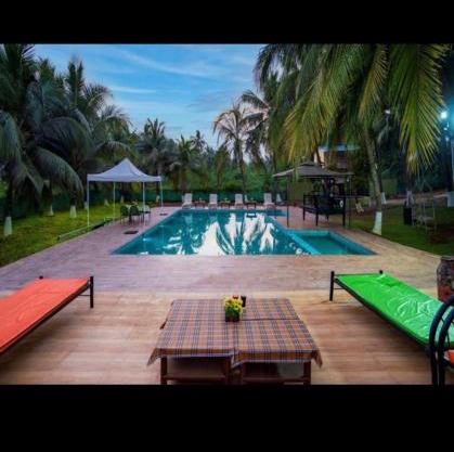Cayana Palms