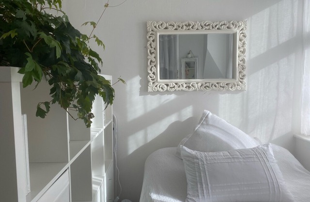 CENTRE OF LONDON, LOVELY, LIGHT, AIRY FLAT WITH BALCONY