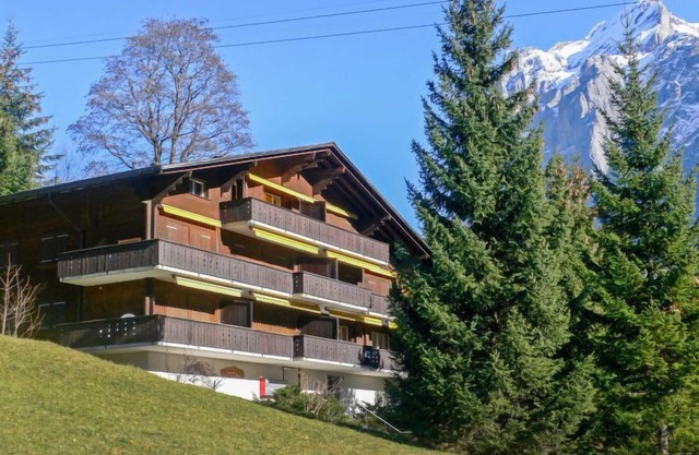 Chalet Bodmisunne by Interhome