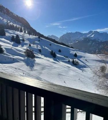 Chalet Le lagopède