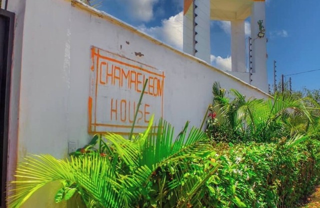 chameleon house 2