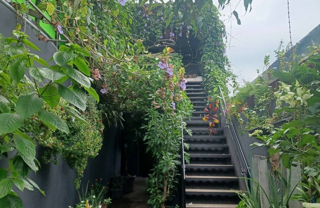 Charly's Place