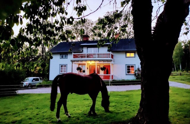 Charming 6 bedroom House & Horse Farm - Sleeps 12