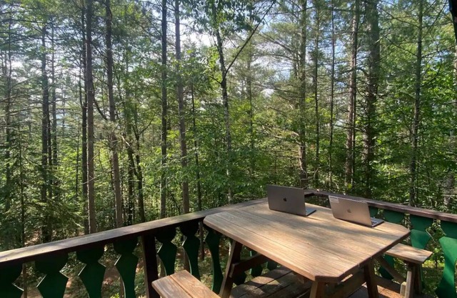 Charming Adirondack Chalet in the woods