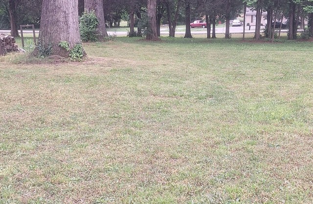 Charming Country yet close to all 3-bedroom house with AC, WiFi in lovely Smyrna