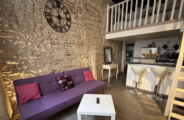 Charming duplex Orléans old center parking possible